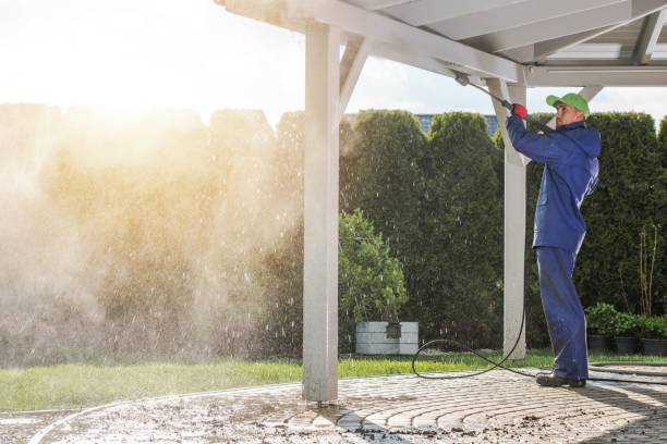 Best Solar Panel Cleaning  in Oak Grove, OR